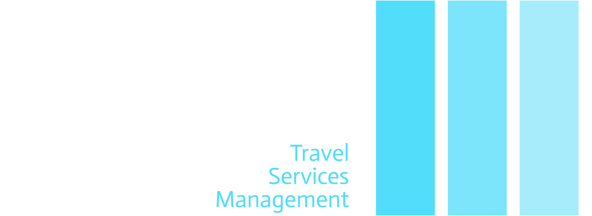TSM — Travel Services Management